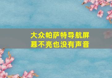 大众帕萨特导航屏幕不亮也没有声音