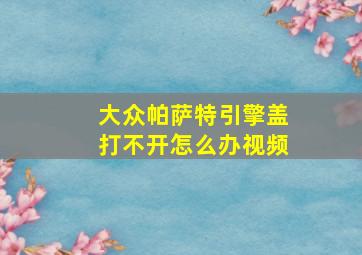 大众帕萨特引擎盖打不开怎么办视频