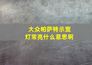 大众帕萨特示宽灯常亮什么意思啊