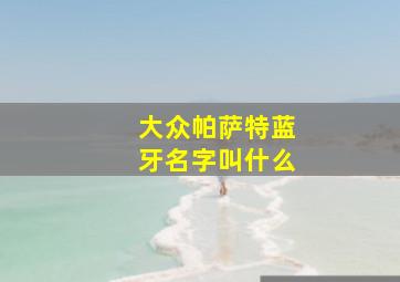 大众帕萨特蓝牙名字叫什么