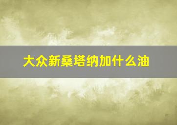 大众新桑塔纳加什么油