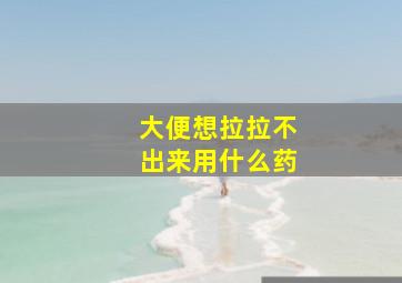 大便想拉拉不出来用什么药