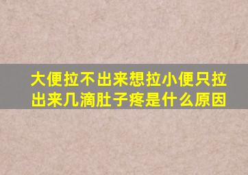 大便拉不出来想拉小便只拉出来几滴肚子疼是什么原因