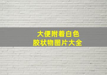 大便附着白色胶状物图片大全