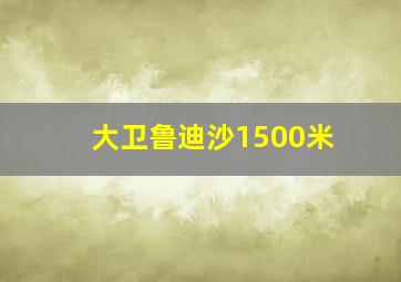 大卫鲁迪沙1500米