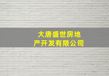 大唐盛世房地产开发有限公司