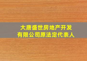 大唐盛世房地产开发有限公司原法定代表人