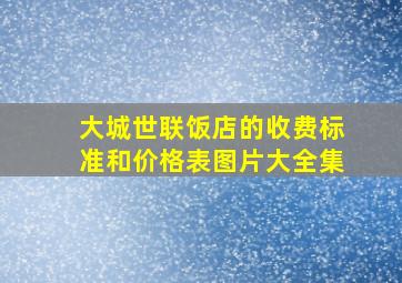 大城世联饭店的收费标准和价格表图片大全集