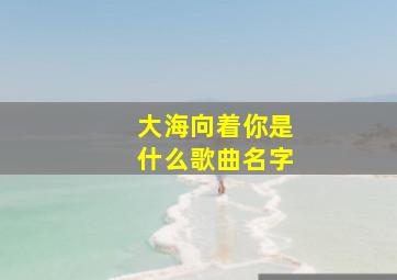 大海向着你是什么歌曲名字