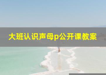 大班认识声母p公开课教案