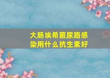 大肠埃希菌尿路感染用什么抗生素好