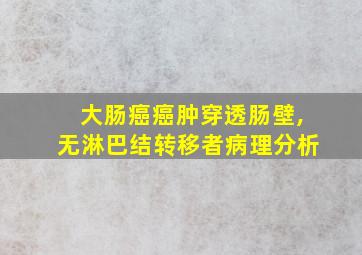 大肠癌癌肿穿透肠壁,无淋巴结转移者病理分析