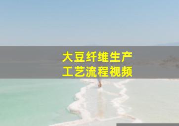 大豆纤维生产工艺流程视频