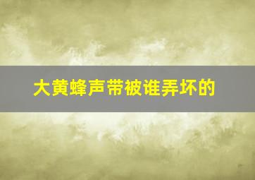 大黄蜂声带被谁弄坏的