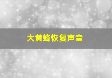 大黄蜂恢复声音