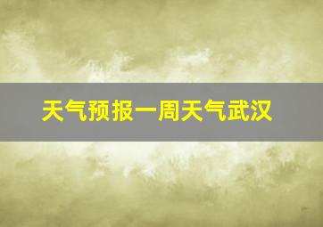 天气预报一周天气武汉