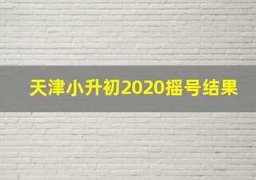 天津小升初2020摇号结果