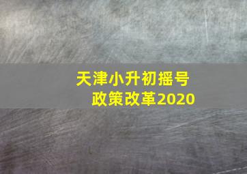 天津小升初摇号政策改革2020