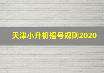 天津小升初摇号规则2020