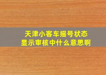 天津小客车摇号状态显示审核中什么意思啊