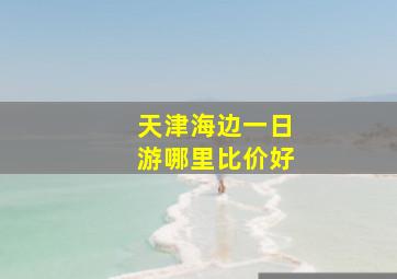 天津海边一日游哪里比价好