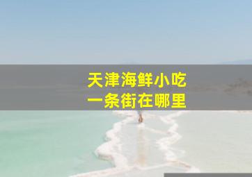 天津海鲜小吃一条街在哪里