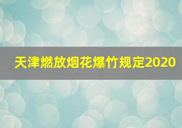 天津燃放烟花爆竹规定2020