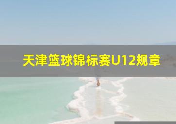 天津篮球锦标赛U12规章