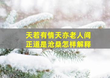 天若有情天亦老人间正道是沧桑怎样解释