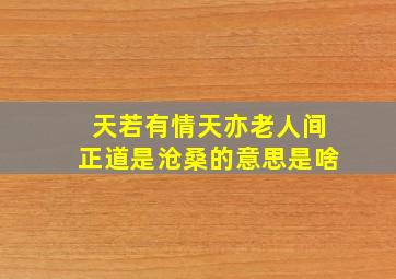 天若有情天亦老人间正道是沧桑的意思是啥