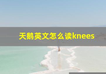 天鹅英文怎么读knees