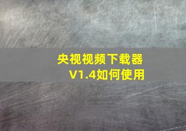 央视视频下载器V1.4如何使用