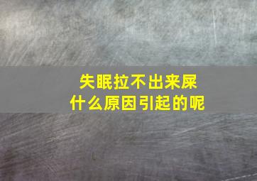 失眠拉不出来屎什么原因引起的呢