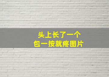 头上长了一个包一按就疼图片