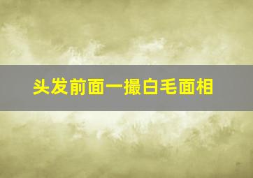 头发前面一撮白毛面相