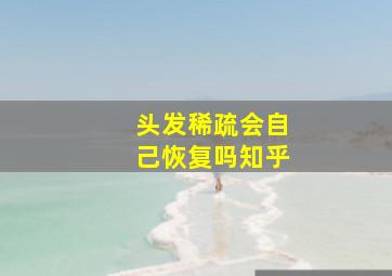 头发稀疏会自己恢复吗知乎