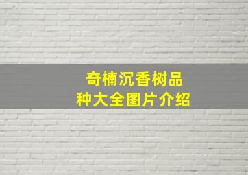 奇楠沉香树品种大全图片介绍