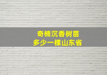 奇楠沉香树苗多少一棵山东省