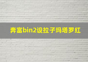 奔富bin2设拉子玛塔罗红