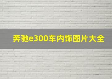 奔驰e300车内饰图片大全