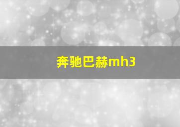 奔驰巴赫mh3