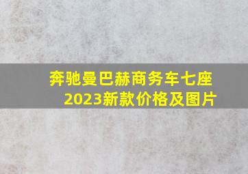 奔驰曼巴赫商务车七座2023新款价格及图片