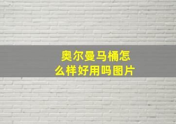 奥尔曼马桶怎么样好用吗图片