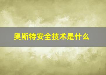 奥斯特安全技术是什么