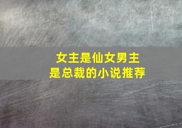 女主是仙女男主是总裁的小说推荐