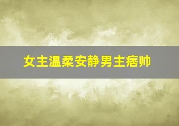 女主温柔安静男主痞帅