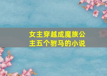 女主穿越成魔族公主五个驸马的小说