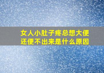 女人小肚子疼总想大便还便不出来是什么原因