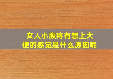 女人小腹疼有想上大便的感觉是什么原因呢