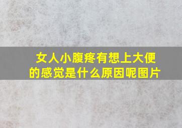 女人小腹疼有想上大便的感觉是什么原因呢图片